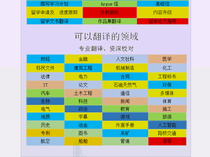 Financial financial statements annual report business license company articles of association website manual translation Italian Native language translation