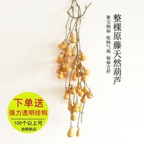 Natural branch vine hoist serial hand twisted hands to play home Fengshui Hulu string Living room hanging piece