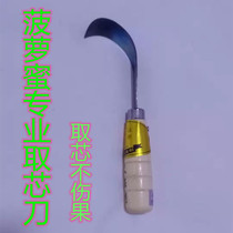 Cut jackfruit opener without deformation complete Coring Knife jackfruit special knife opener stainless steel fruit opener
