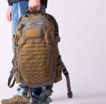 Bag SF DA Assault operation Raider Dragon Egg 2 shoulder riding Secret service tactical bag Commuter outdoor backpack