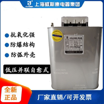 Shanghai Viscometer BSMJ0 45-10 15 16 20 25 30-3 Self-healing low voltage shunt power capacitors