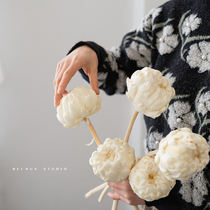 White Sakyamuni real flower dried flower ins advanced eternal flower desktop restaurant flower art TV cabinet entrance decoration