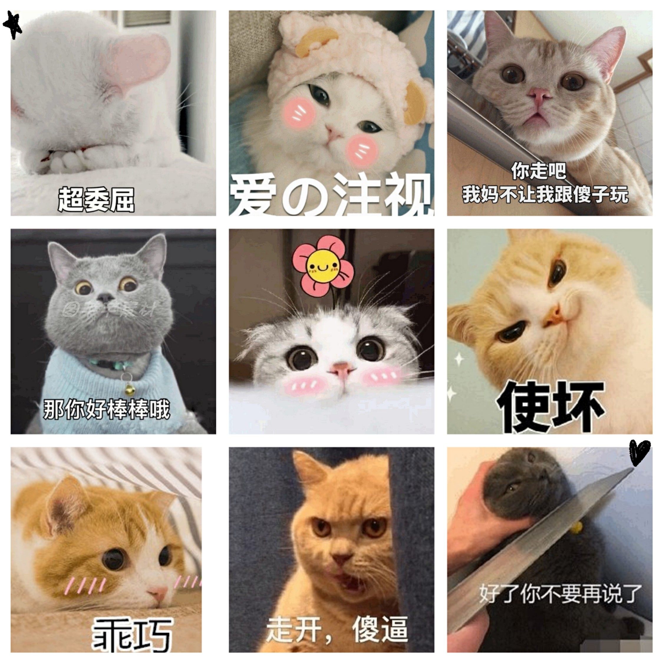 猫表情-猫表情促销价格、猫表情品牌- 淘宝