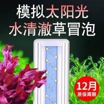 Fish tank energy-saving lamp LED lighting Turtle eco-landscaping waterproof lamp Aquatic plant lamp Small and medium-sized aquarium rack lamp