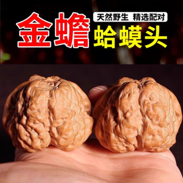延庆蛤蟆头核桃-延庆蛤蟆头核桃促销价格、延庆蛤蟆头核桃品牌- 淘宝