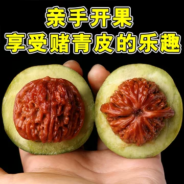 文玩核桃蛤蟆头-文玩核桃蛤蟆头促销价格、文玩核桃蛤蟆头品牌- 淘宝