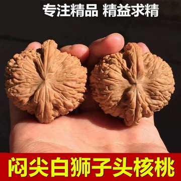 文玩堂：坐佛獅子頭（收藏级核桃） 狮子头文玩核桃价格报价行情- 京东