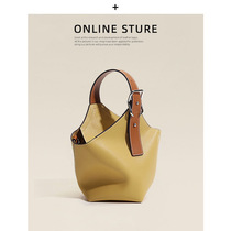 (Only for high-end goods) Hong Kong leather new foreign style diagonal tote bag shoulder hand bucket bag pet bag