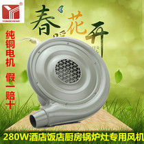 Yongcheng fan CZ-TD280W low noise hotel boiler stove blower 280W hair dryer copper wire