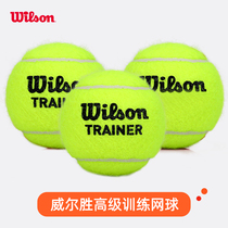 Wilson Wilson Wilson Training Tennis Practice Ball Wear-resistant Wilson Unpressure T1312
