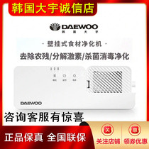 Daewoo fruit and vegetable cleaning machine purifier Vegetable washing machine Fruit and vegetable guard food purification machine Household automatic wall-mounted
