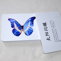 (Butterfly Card) Early Education Flash Card Animal Card Reading Literacy Card Seven Field Right Brain Development Childrens Educational Toys