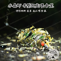 Tuyo original stainless steel crystal shrimp feeder special-shaped bottom habitat fish feeder spinach feeding cage