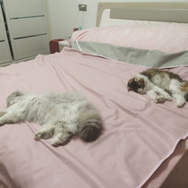 Pet anti-urine bed anti-hair good washing bed linen bunk bed anti-dust kitty Puppy Urine Sofa Cage Cushion Slip