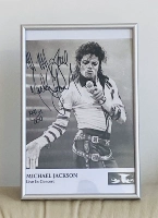 Живи на концерте Майкл Джексон Майкл Джексон подписной фотокамс