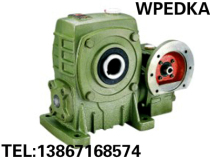 Factory direct WPEDKA WPEDKS60-100# worm gear iron shell reducer gearbox transmission