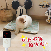 Meat face cat pet cat electric blanket dog heating pad waterproof and anti-scratch thermostatic cat nest cat heater