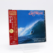 Tatsuro Yamashita Tatsuro Yamashita Big Wave 30th Anniversary Edition CD New Sales