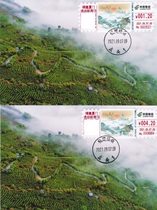 Fujian white tea automation label fun limit film sales Fuding original day stamp