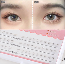 Japanese net red female segmented false eyelashes single cluster has been cut down eyelashes simulation natural plain nude makeup bride