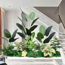 Simulation green plant landscaping office stairs fake traveler banana combination window bionic plant landscape interior decoration