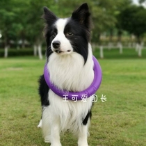 Wang cute with Ukrainian puller purple-ring dog interactive tug-of-War Tour ring Frisbee can float