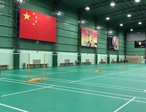 Dayspeed Professional Badminton Geographic Mobile Roll Anti-slip wear resistant and environmentally friendly and tasteless national package installation