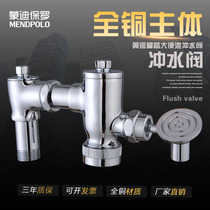  All-copper toilet squatting delay flushing valve Hand pressure flushing valve switch outlet 1 2 inch foot valve