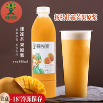 Find umami source frozen mango puree without adding original juice Heicha Yangzhi manna pulp milk tea shop special raw materials