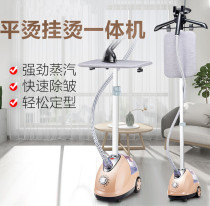 Big Haier electric iron steam iron New Steam hanging household hot clothes small handheld ironing machine hanging