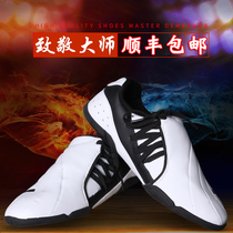 SF WOOSUNG taekwondo shoes childrens mens and womens training martial arts shoes mesh breathable adult coach shoes