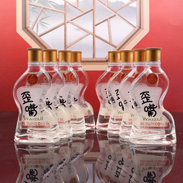 未開封 五粮液 52% 500ml 白酒 プラスチックケース入 - メルカリ