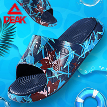 Pick state pole sports slippers 2 0 lovers summer breathable lightweight second generation cool drag printing casual beach shoes