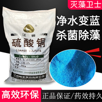 Copper sulfate powder pentahydrate Crystal sterilization student experiment copper sulfate analysis pure blue alum swimming pool algae removal aquatic products
