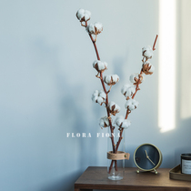 Imported natural dried flower kapok ins Nordic wind window with real flower homestay decoration cotton branches