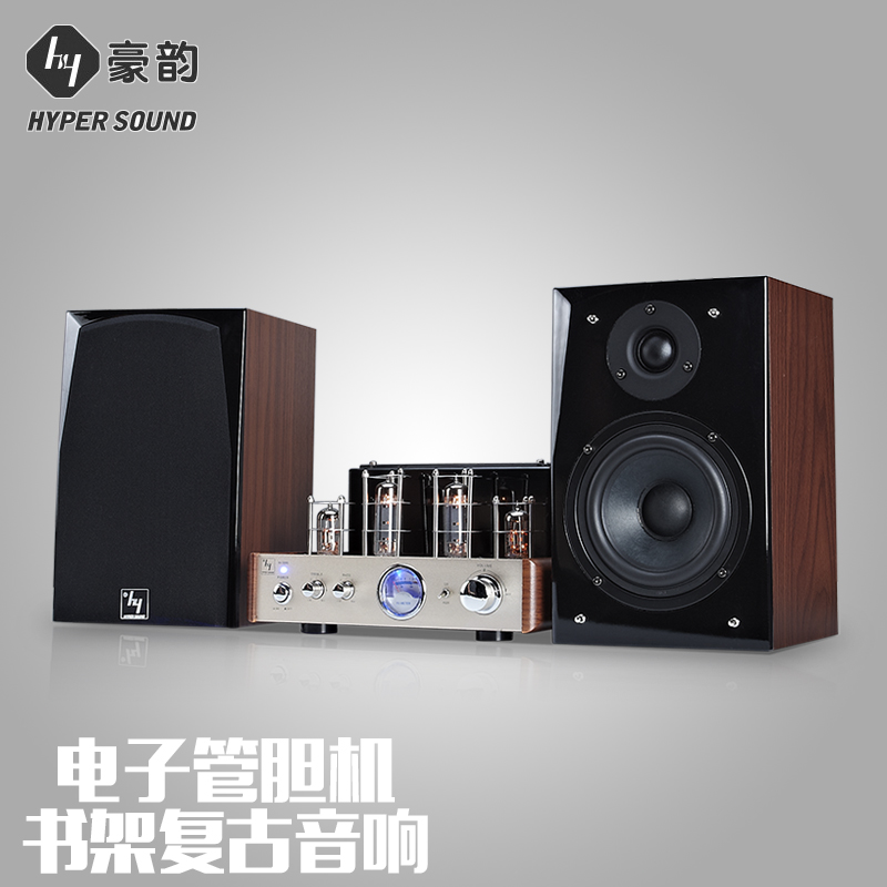 HYPER SOUND/AV/SP2030 Biliary Power Amplifier Audio True Electronic Tube Hifi Bookcase Set