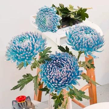青花瓷牡丹菊仿真花-青花瓷牡丹菊仿真花促销价格、青花瓷牡丹菊仿真花