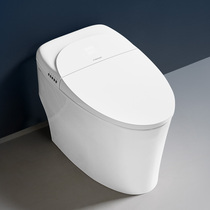 Faenza F6 can be heated and cleaned conjoined smart toilet