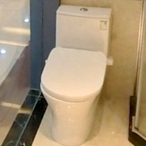 Moen bathroom toilet intelligent all-in-one SW4142D1