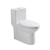 HEGII Toilet HC0145PT