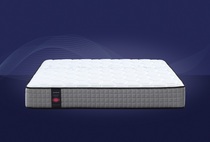 The Carl mattress.