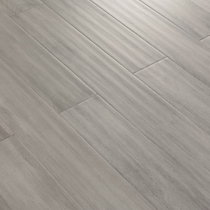 SFF Floor Composite F-SJ10811(E0) E0 Level ***
