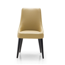 Stylish dining chair BF-CY3253 dining chair