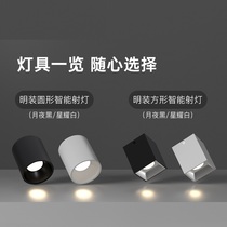Oruibo smart light home without main light lighting anti-glare ceiling aisle corridor living room top light