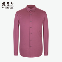 Youngor mens long sleeve shirt mall with spring and summer official new business casual knitted shirt 3989