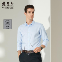 Youngor long sleeve shirt spring new men's business casual cotton DP non-iron stripe work shirt 2010