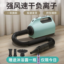Pet water blower Dog Large dog household drying box Cat hair dryer High power dog bath hair blowing artifact
