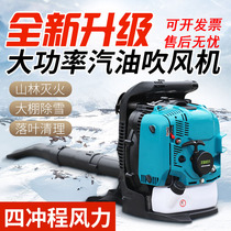 Backloaded gasoline hair dryer greenhouse snow blower Dagong construction site wind extinguisher rate fallen leaves green blowing vegetables