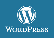 Wordpress website building plug-in Add new consulting service code Server deployment