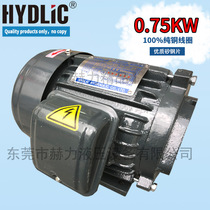 Internal shaft plug-in three-phase 380V oil pump motor Y802-4 1HP 0 75KW Suitable for VP20 hydraulic spline